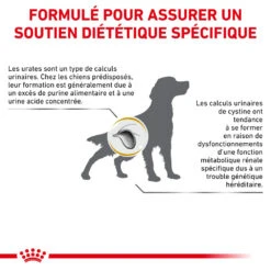 ROYAL CANIN Urinary U/C Low Purine 2kg X2 -Animaux Fournitures Magasin fre pl ROYAL CANIN Urinary U C Low Purine 2kg x2 30730 6