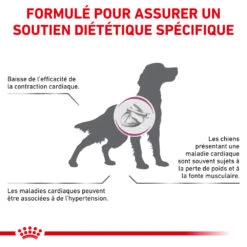ROYAL CANIN Veterinary Cardiac 2kg -Animaux Fournitures Magasin fre pl ROYAL CANIN Veterinary Cardiac 2kg 15965 5