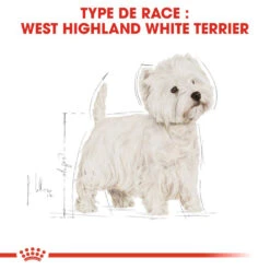 ROYAL CANIN West Highland White Terrier Adult 1,5kg -Animaux Fournitures Magasin fre pl ROYAL CANIN West Highland White Terrier Adult 1 5kg 16157 5