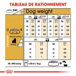 ROYAL CANIN Yorkshire Terrier Adult 3kg X2 12 ROYAL CANIN Yorkshire Terrier Adult 3kg X2 -Animaux Fournitures Magasin fre pl ROYAL CANIN Yorkshire Terrier Adult 3kg x2 30721 3