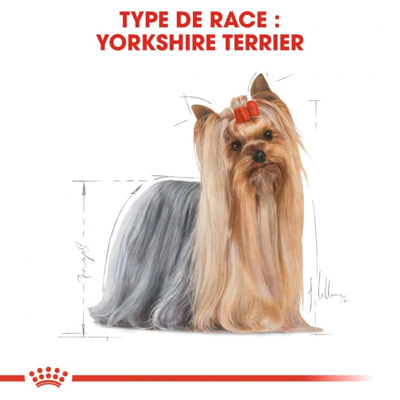 ROYAL CANIN Yorkshire Terrier Adult 3kg X2 5 ROYAL CANIN Yorkshire Terrier Adult 3kg X2 – Image 3