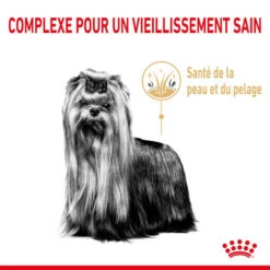 ROYAL CANIN Yorkshire Terrier Adult 8+ 1,5kg 13 ROYAL CANIN Yorkshire Terrier Adult 8+ 1,5kg -Animaux Fournitures Magasin fre pl ROYAL CANIN Yorkshire Terrier Adult 8 1 5kg 12529 6