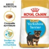 ROYAL CANIN Yorkshire Terrier Puppy 1,5kg 1 ROYAL CANIN Yorkshire Terrier Puppy 1,5kg -Animaux Fournitures Magasin fre pl ROYAL CANIN Yorkshire Terrier Puppy 1 5kg 9597 1