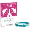 RomeRoyalDog Petit Collier Pour Chien Avec CBD 37cm 1 RomeRoyalDog Petit Collier Pour Chien Avec CBD 37cm -Animaux Fournitures Magasin fre pl RomeRoyalDog petit collier pour chien avec CBD 37cm 30265 1