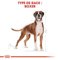 Royal Canin Boxer Adult 12kg -Animaux Fournitures Magasin fre pl Royal Canin Boxer Adult 12kg 9122 3