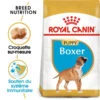 Royal Canin Boxer Puppy 12kg