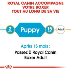 Royal Canin Boxer Puppy 12kg 11 Royal Canin Boxer Puppy 12kg -Animaux Fournitures Magasin fre pl Royal Canin Boxer Puppy 12kg 9124 4