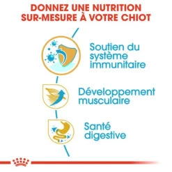 Royal Canin Boxer Puppy 12kg 12 Royal Canin Boxer Puppy 12kg -Animaux Fournitures Magasin fre pl Royal Canin Boxer Puppy 12kg 9124 5