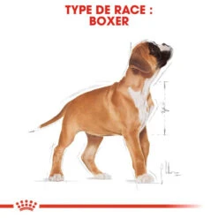 Royal Canin Boxer Puppy 12kg 13 Royal Canin Boxer Puppy 12kg -Animaux Fournitures Magasin fre pl Royal Canin Boxer Puppy 12kg 9124 6