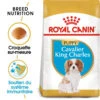 Royal Canin Cavalier King Charles Spaniel Puppy 1,5kg