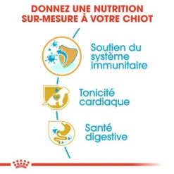 Royal Canin Cavalier King Charles Spaniel Puppy 1,5kg 13 Royal Canin Cavalier King Charles Spaniel Puppy 1,5kg -Animaux Fournitures Magasin fre pl Royal Canin Cavalier King Charles Spaniel Puppy 1 5kg 9177 4