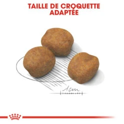 Royal Canin Giant Puppy 15kg -Animaux Fournitures Magasin fre pl Royal Canin Giant Puppy 15kg 9209 5