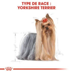 Royal Canin Yorkshire Terrier Adult 12x85g -Animaux Fournitures Magasin fre pl Royal Canin Yorkshire Terrier Adult 12x85g 9108 6