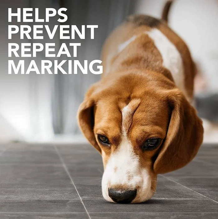 Simple Solution Platinum Destructeur D'odeurs 500 Ml 8 Simple Solution Platinum Destructeur D'odeurs 500 Ml – Image 6