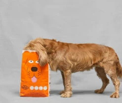 TOMOJO CROQUETTES CHIEN ADULTE 2kg 9 TOMOJO CROQUETTES CHIEN ADULTE 2kg -Animaux Fournitures Magasin fre pl TOMOJO CROQUETTES CHIEN ADULTE 2kg 12302 3