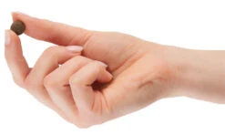 TOMOJO CROQUETTES CHIEN ADULTE 2kg 10 TOMOJO CROQUETTES CHIEN ADULTE 2kg -Animaux Fournitures Magasin fre pl TOMOJO CROQUETTES CHIEN ADULTE 2kg 12302 4