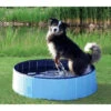 Trixie Piscine Pour Chien 160x30cm -Animaux Fournitures Magasin fre pl Trixie Piscine pour chien 160x30cm 16388 1