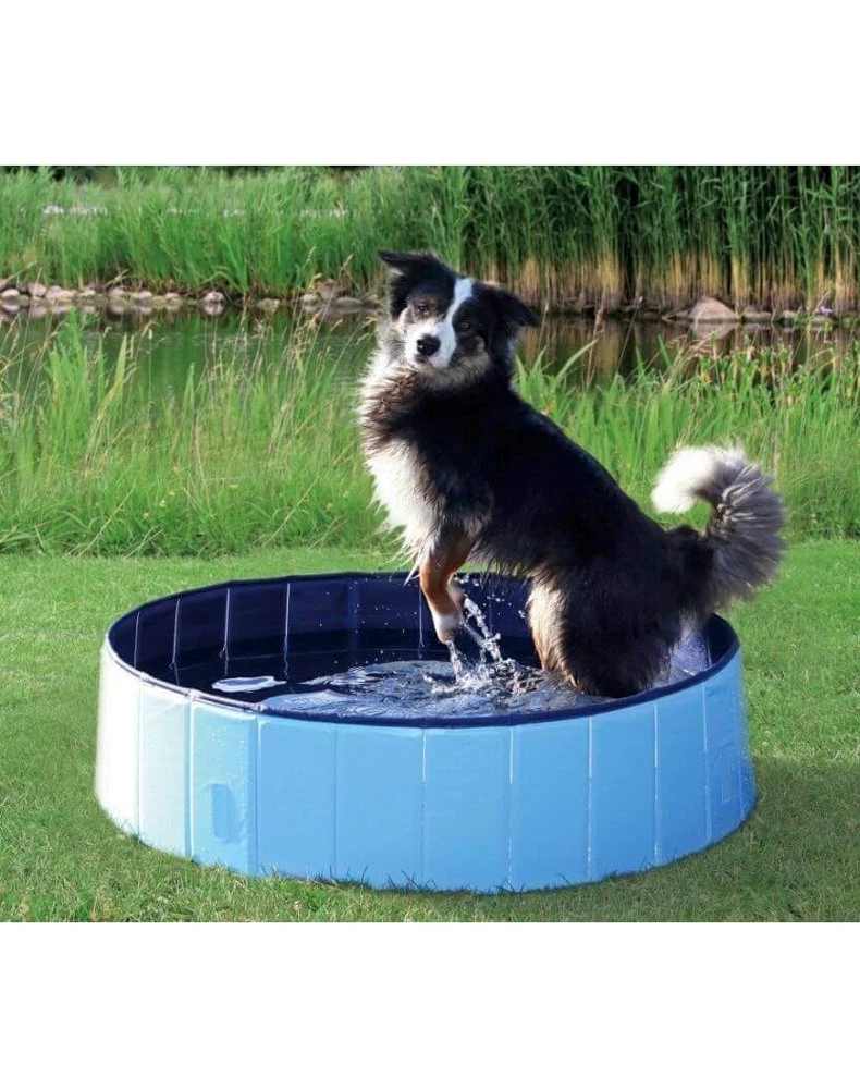 Trixie Piscine Pour Chien 80x20cm 3 Trixie Piscine Pour Chien 80x20cm