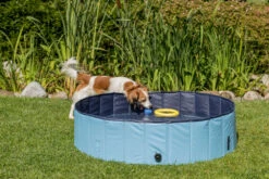 Trixie Piscine Pour Chien 80x20cm 12 Trixie Piscine Pour Chien 80x20cm -Animaux Fournitures Magasin fre pl Trixie Piscine pour chien 80x20cm 16389 5