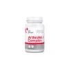 VETEXPERT Arthrovet HA Complex 60 Comprimés 1 VETEXPERT Arthrovet HA Complex 60 Comprimés -Animaux Fournitures Magasin fre pl VETEXPERT Arthrovet HA Complex 60 Comprimes 8975 1