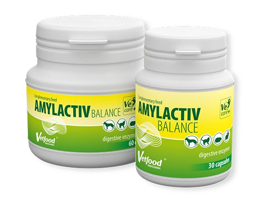 VETFOOD Amylactiv Balance 30 Comprimés 3 VETFOOD Amylactiv Balance 30 Comprimés