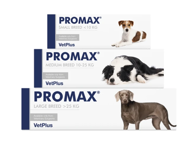 VETPLUS Promax Probiotique Pour Petites Races 9ml 4 VETPLUS Promax Probiotique Pour Petites Races 9ml – Image 2