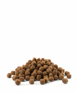 Versele-Laga Opti Life Puppy Medium Avec Poulet Pour Races Moyennes 2.5kg 7 Versele-Laga Opti Life Puppy Medium Avec Poulet Pour Races Moyennes 2.5kg -Animaux Fournitures Magasin fre pl Versele Laga Opti Life Puppy Medium avec poulet pour races moyennes 2 5kg 17018 3