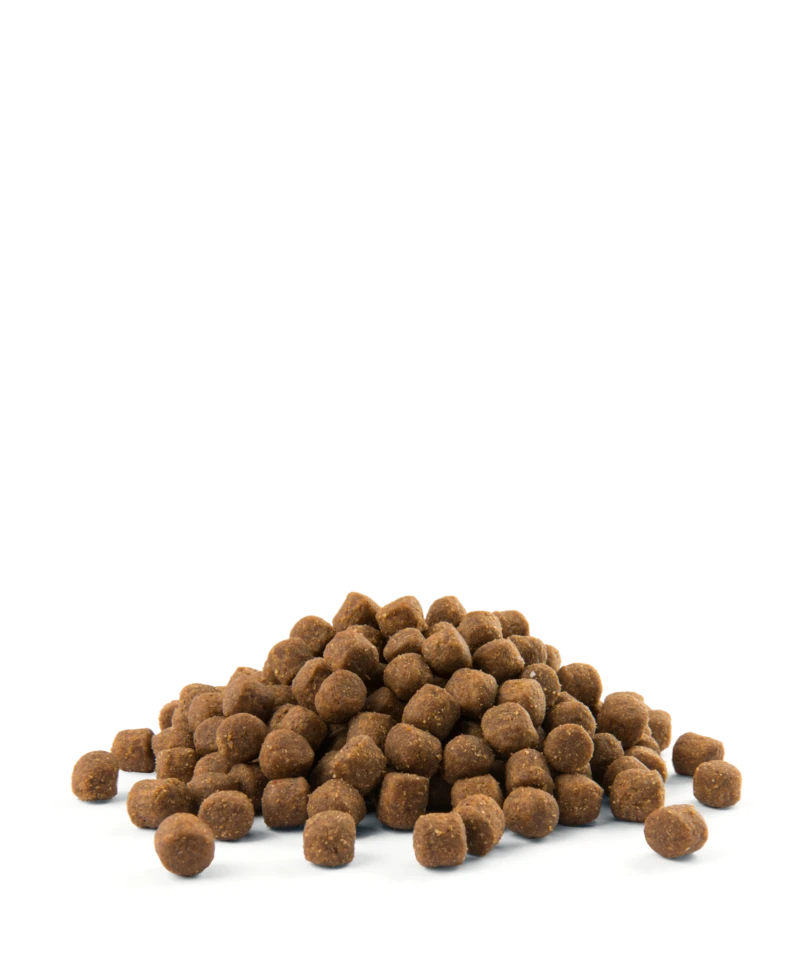 Versele-Laga Opti Life Puppy Medium Avec Poulet Pour Races Moyennes 2.5kg 5 Versele-Laga Opti Life Puppy Medium Avec Poulet Pour Races Moyennes 2.5kg – Image 3