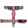 ZEE DOG Mahalo L Harnais Pour Chien 2 ZEE DOG Mahalo L Harnais Pour Chien -Animaux Fournitures Magasin fre pl ZEE DOG Mahalo L harnais pour chien 22198 1