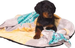 ZOLUX Jouet CHIQUITOS - Paresseux - Doudou 8 ZOLUX Jouet CHIQUITOS - Paresseux - Doudou -Animaux Fournitures Magasin fre pl ZOLUX Jouet CHIQUITOS Paresseux Doudou 28849 3