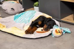 ZOLUX Jouet CHIQUITOS Paresseux Avec Ficelle -Animaux Fournitures Magasin fre pl ZOLUX Jouet CHIQUITOS paresseux avec ficelle 28850 4